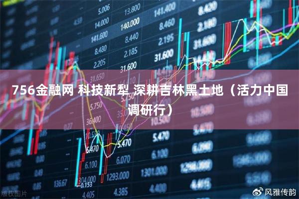 756金融网 科技新犁 深耕吉林黑土地（活力中国调研行）