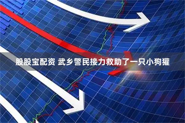 股股宝配资 武乡警民接力救助了一只小狗獾