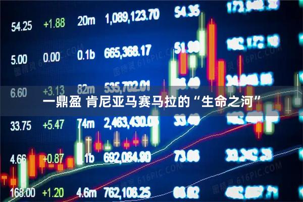 一鼎盈 肯尼亚马赛马拉的“生命之河”