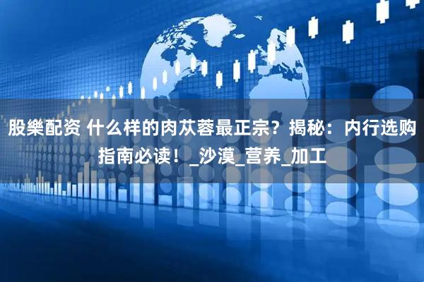 股樂配资 什么样的肉苁蓉最正宗？揭秘：内行选购指南必读！_沙漠_营养_加工