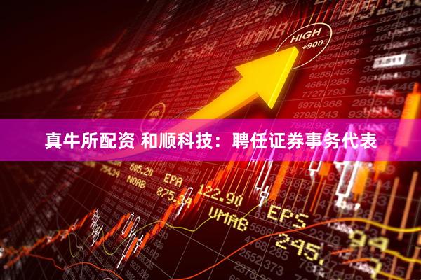 真牛所配资 和顺科技：聘任证券事务代表