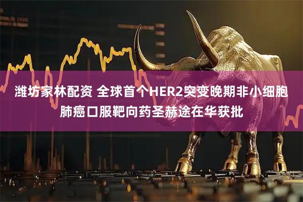 潍坊家林配资 全球首个HER2突变晚期非小细胞肺癌口服靶向药圣赫途在华获批