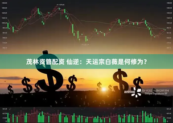 茂林资管配资 仙逆：天运宗白薇是何修为？