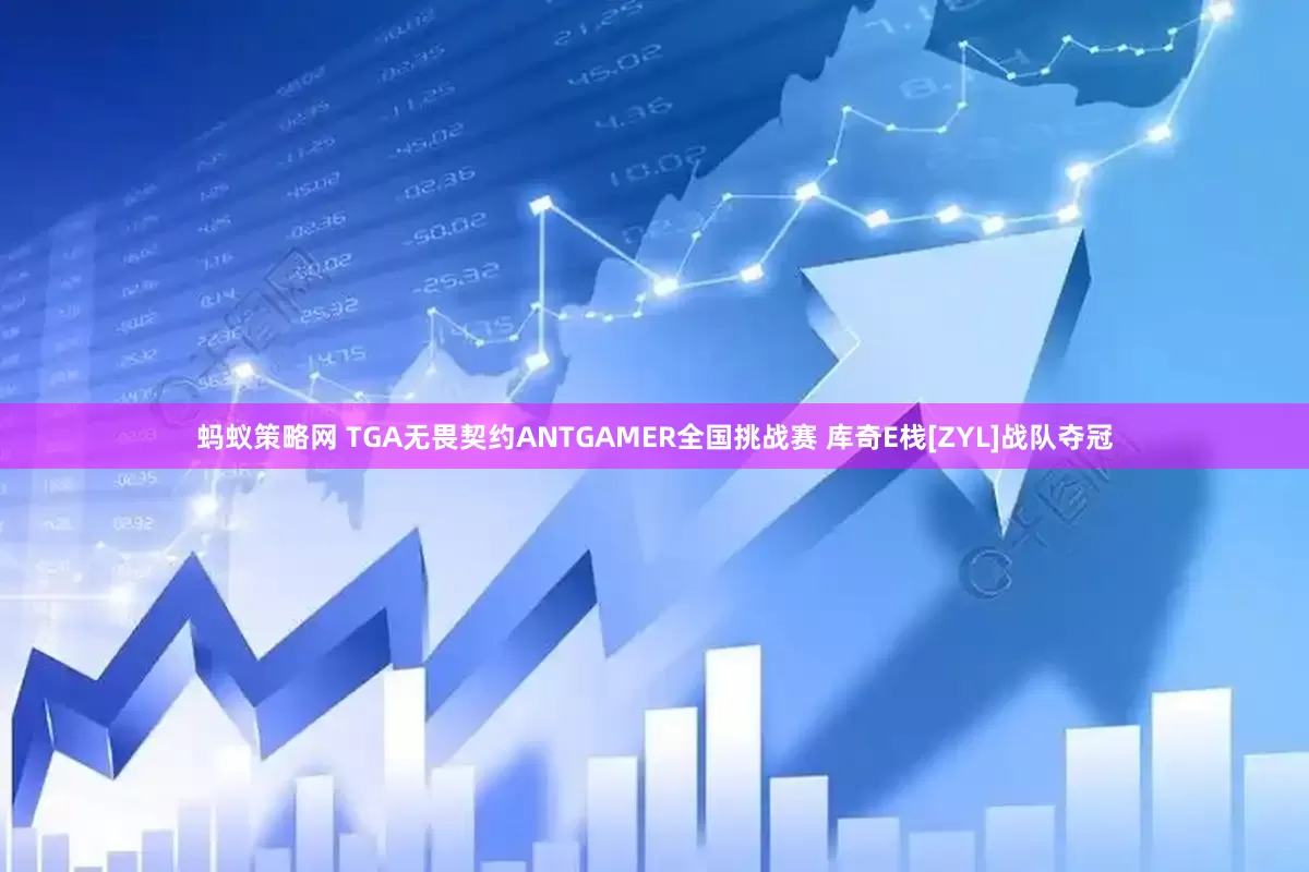 蚂蚁策略网 TGA无畏契约ANTGAMER全国挑战赛 库奇E栈[ZYL]战队夺冠