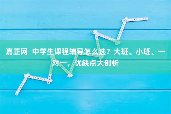 嘉正网  中学生课程辅导怎么选？大班、小班、一对一，优缺点大剖析