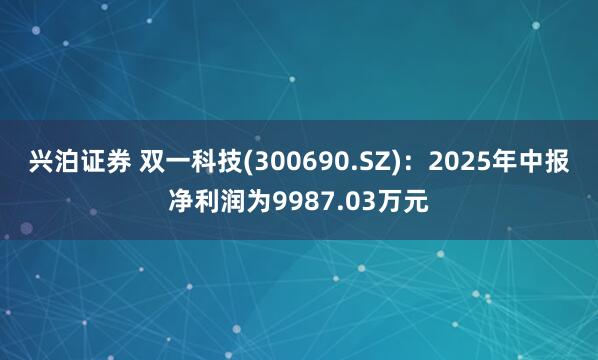 兴泊证券 双一科技(300690.SZ)：2025年中报净利润为9987.03万元