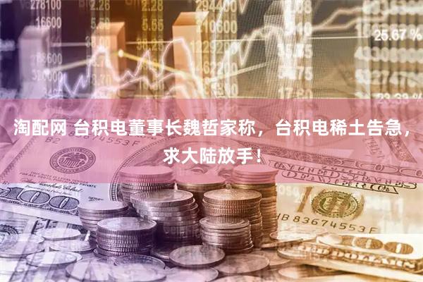 淘配网 台积电董事长魏哲家称，台积电稀土告急，求大陆放手！